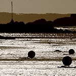 Port de L'île Grande  22